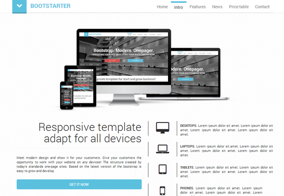 BootStarter one page parallax template screenshot